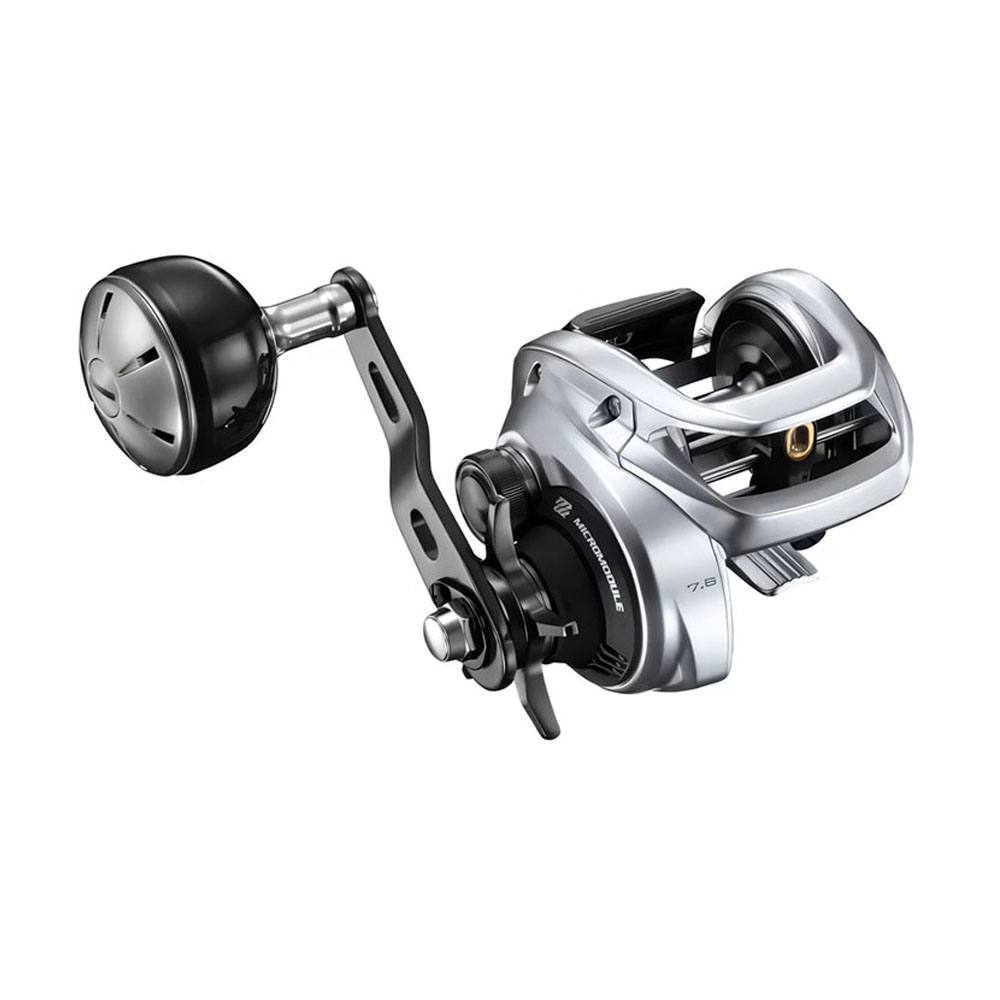 2026 SHIMANO TRANX 400 Baitcas – Daiwa Reel Bg Bewertung und Preis